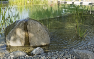 Gartengestaltung Teichbau Quellstein