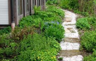 Terrasse Einfahrt Weg Abböschung