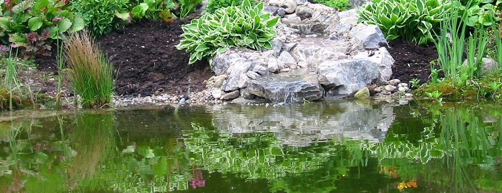 Gartentipp Teichpflege im Frühjahr Urbin Gartengestaltung Dießen